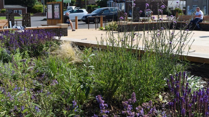 Image indicative of the type of amenity shrub and flower planting proposed.