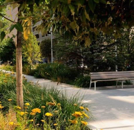 Image showcasing a typical public seating are with integrated shrub planting adjacent to a paved path